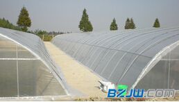 【邯鄲銷量好的農(nóng)用薄膜推薦:農(nóng)用薄膜代理加盟】_邯鄲銷量好的農(nóng)用薄膜推薦:農(nóng)用薄膜代理加盟價格_邯鄲銷量好的農(nóng)用薄膜推薦:農(nóng)用薄膜代理加盟廠家-到中華標準件網(wǎng)